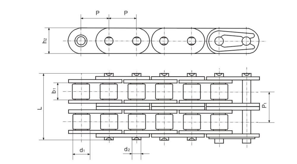 雙排滾子鏈 Duplex roller chain-1.jpg