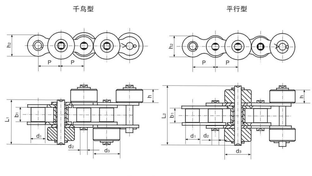 1不銹鋼側(cè)置大滾輪輸送鏈 Stainless steel side big roller chain-1.jpg