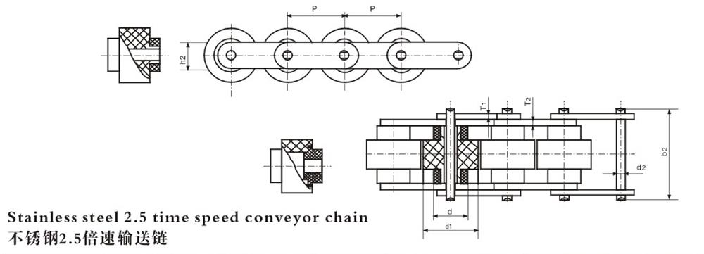 不銹鋼倍速輸送鏈 Stainless steel speed—fold conveyor chain-1.jpg